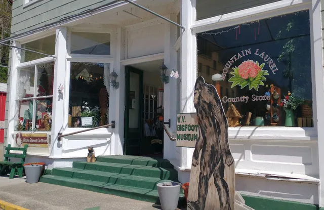 Mountain Laurel Country Store