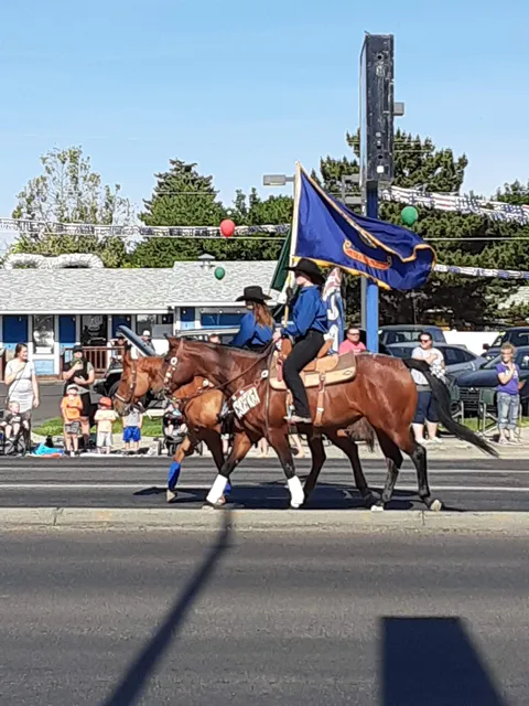 Twin Falls Western Days