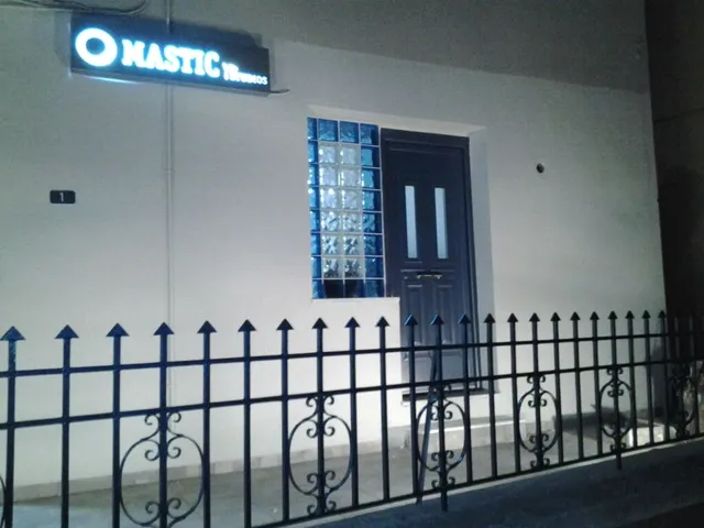 Mastic Point Studios