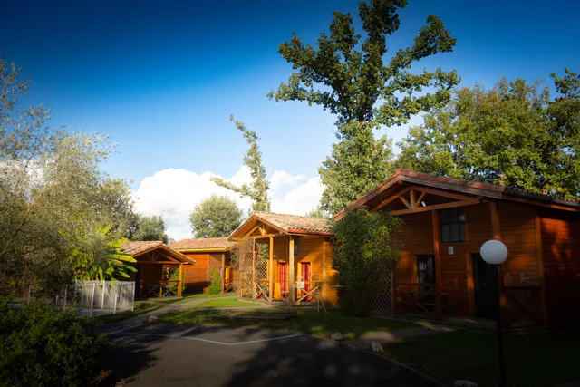 Les Gîtes des Palombes - Fronton