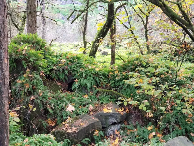 Columbia Botanical Gardens