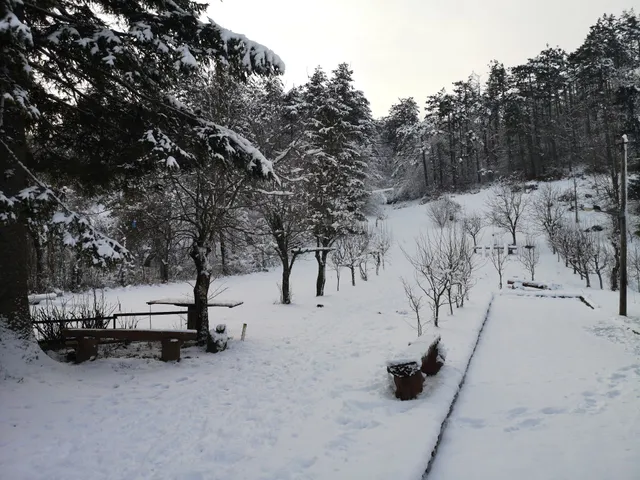 Apartments Šumski Kutak