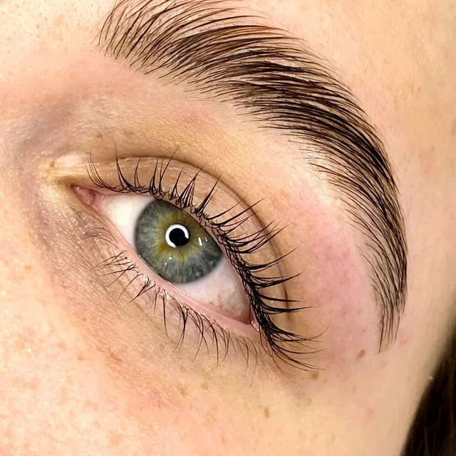 Best Makeup Best Lashes