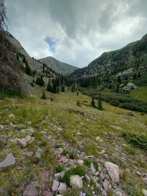 North Crestone Creek Campground