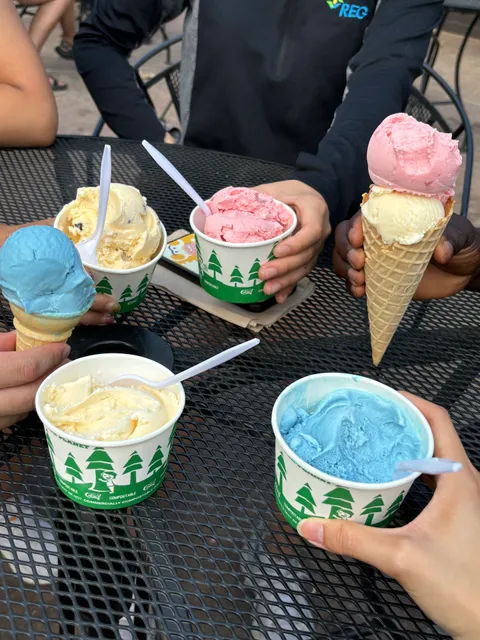 North Shore Ice Cream