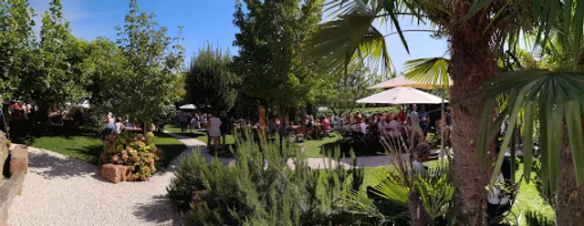 Weingut Johanneshof im Sonnenschein