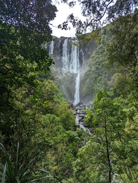 Wairere Falls Lower Lookout