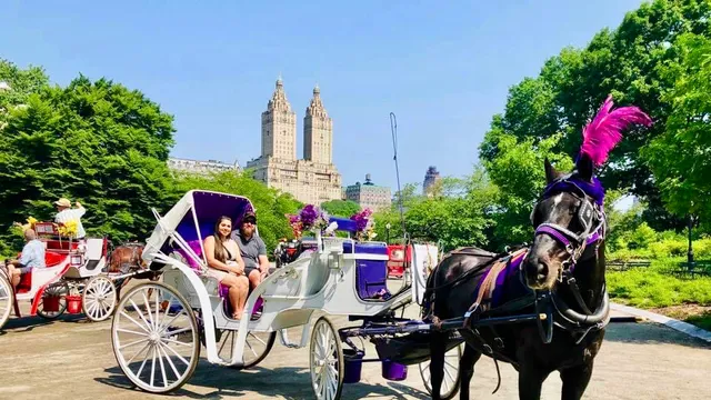 Eco Central Park Tours