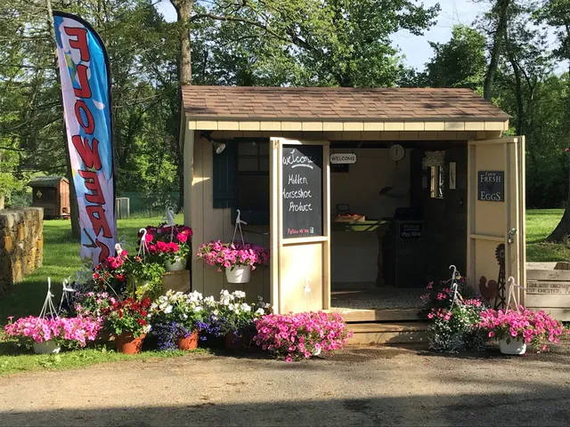 Hidden Horseshoe Produce