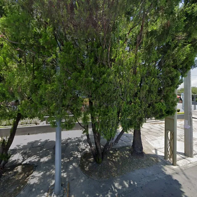 Yörg Frozen Yogurt Chepevera