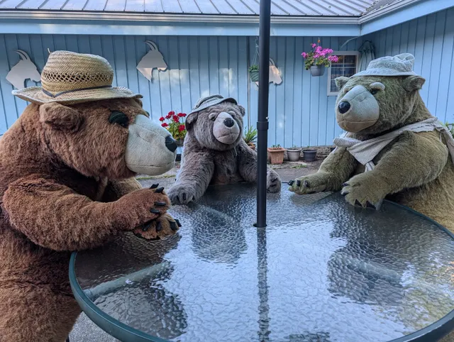 Peak 6 Tours & Gift Shop