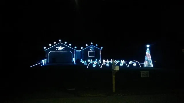 Vineyard Avenue Light Show