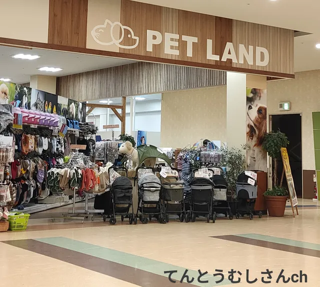 Nishimuta Taniyamaten Enuzupettokan