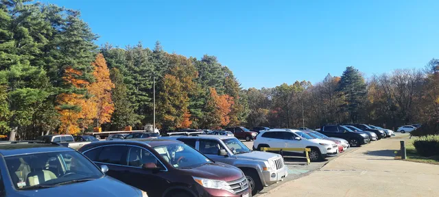 Paragon Communications