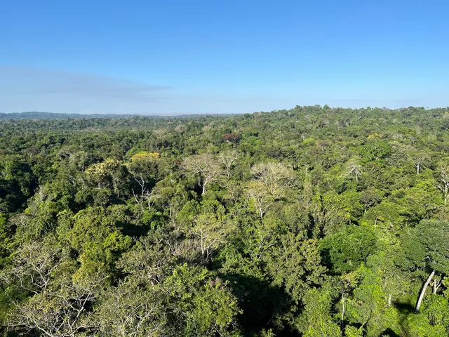 Cristalino Lodge tower