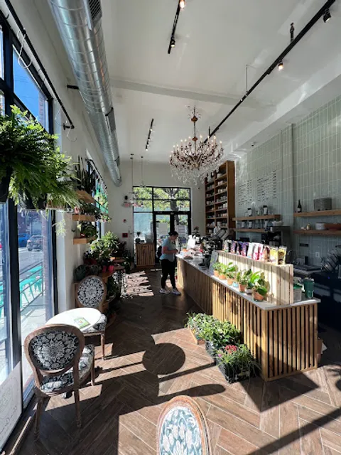 The Ground Coffee, Plants & Gifts