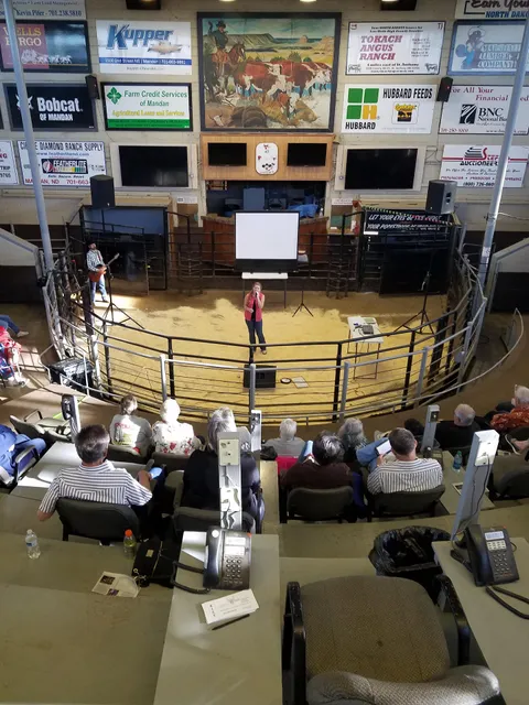 Kist Livestock Auction