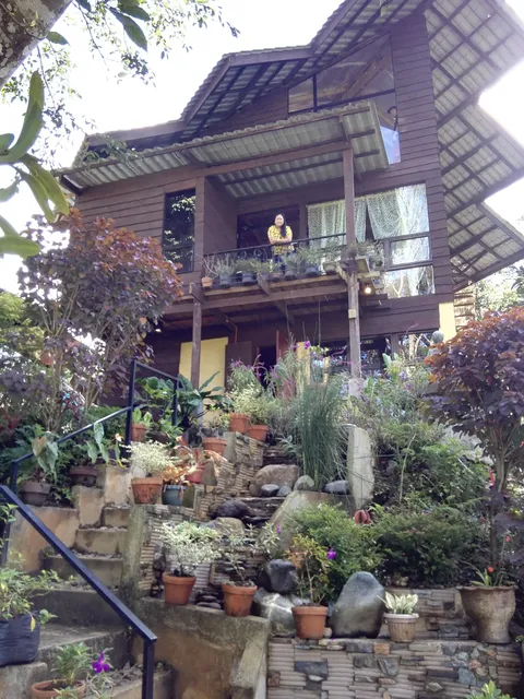 Buda Vista Vacation House