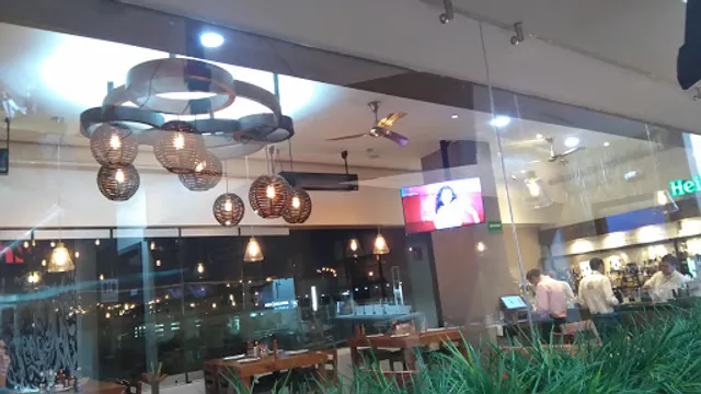 Los Arbolitos De Cajeme Chihuahua