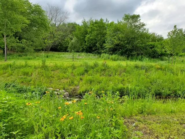 Tedesco Environmental Learning Corridor