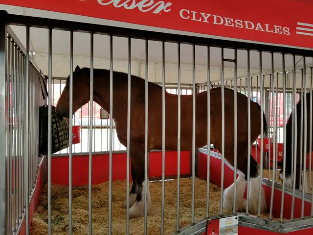Monroe County Fair Association