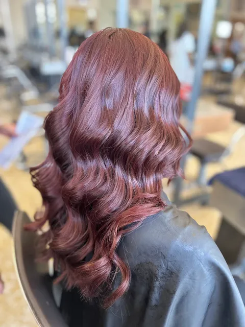 Paul Mitchell The School Phoenix