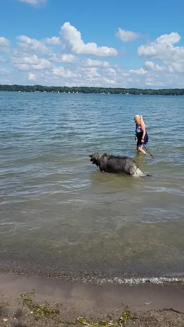 Cayuga Lake State Park Boat Ramp