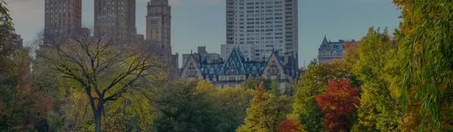 Appolon Dental Group