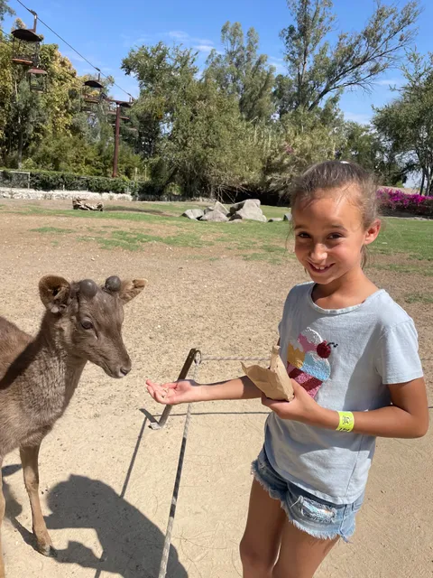 Los Secretos de la Selva Tropical
