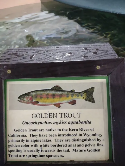 Ten Sleep Fish Hatchery