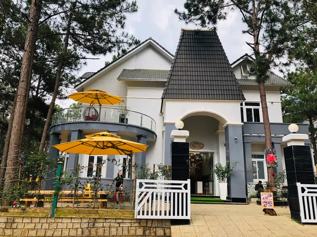 Villa Hoa Hong Ho Tuyen lam