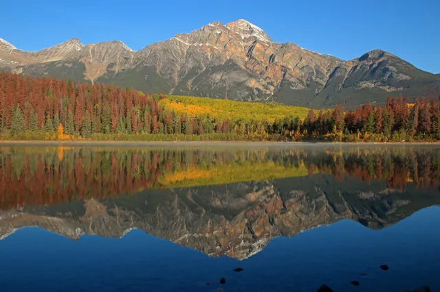 Jasper Hikes and Tours Inc.