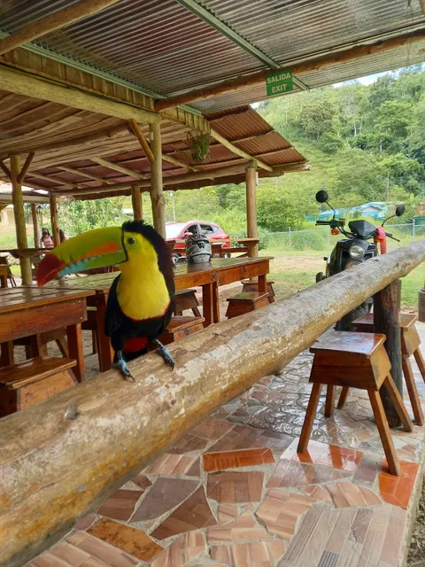 La Roca Restaurante & Bar