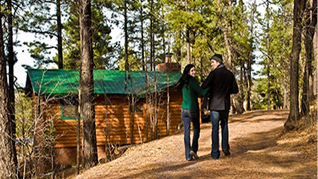 Tanana Valley State Fair Association