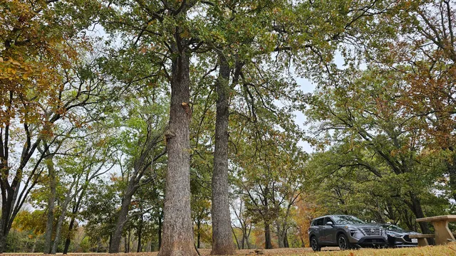 Atoka Oklahoma Park 1
