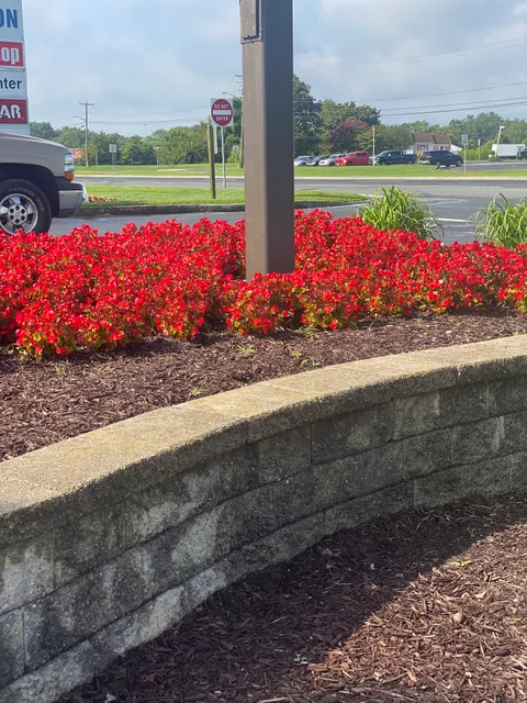 Mason Dixon Shopping Center