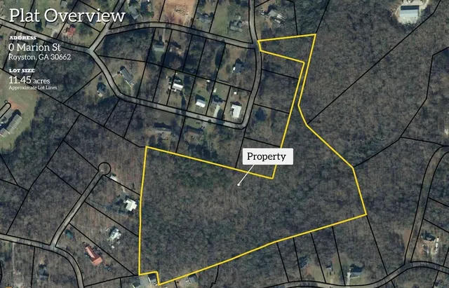 Maralee Ray-REALTOR-RE/MAX Classic