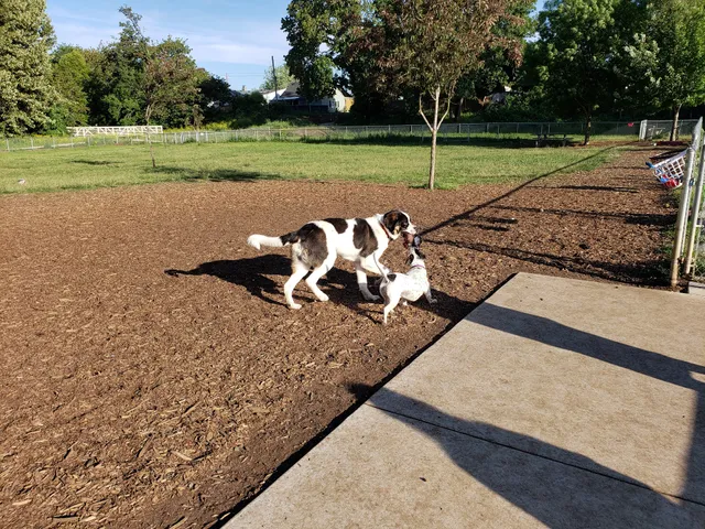 Central Bark Park