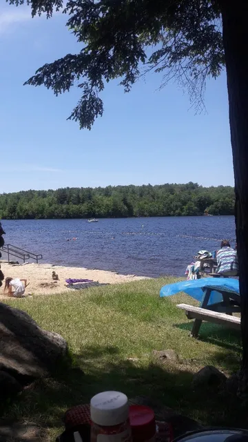 Tolland State Forest