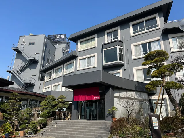 Hotel New Umeya