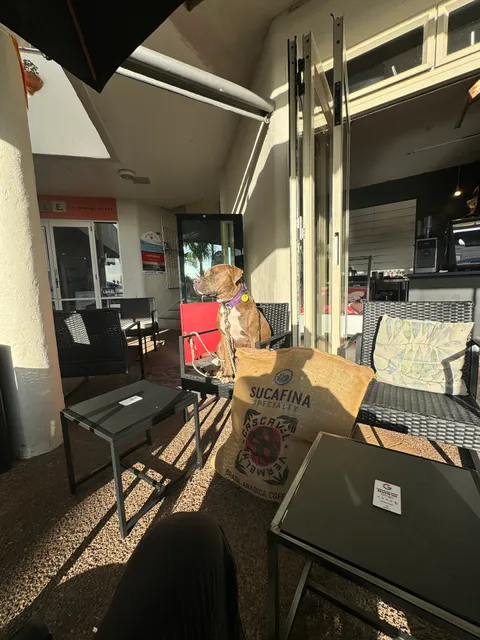 The Ocean View Kitchen & Bar