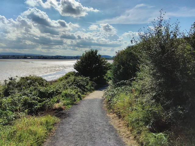 Irishtown Nature Park