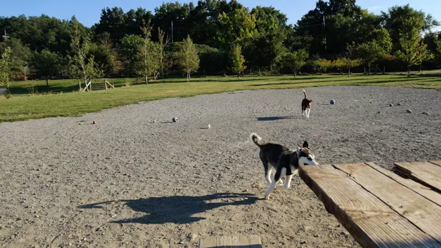 Olson Dog Park