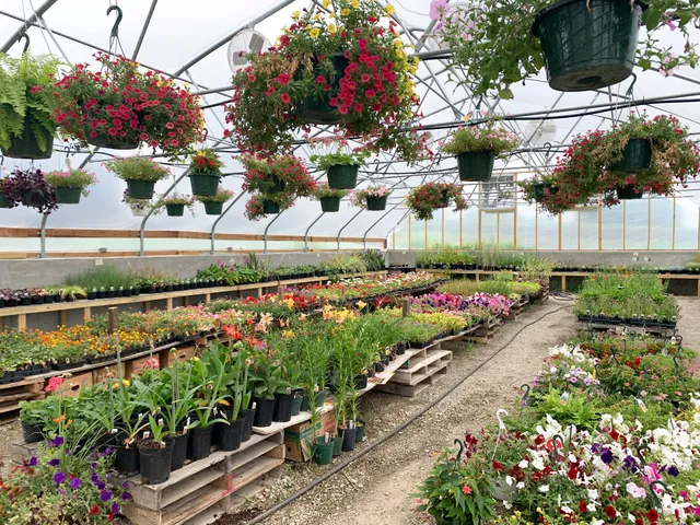 JET Produce and Meats