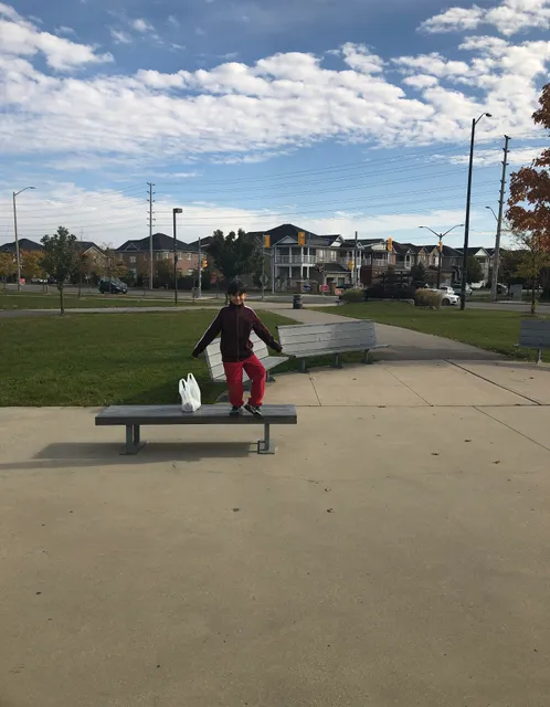 Churchill Meadows SkatePark