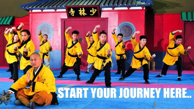 Shaolin Kung Fu 少林功夫 Temple City
