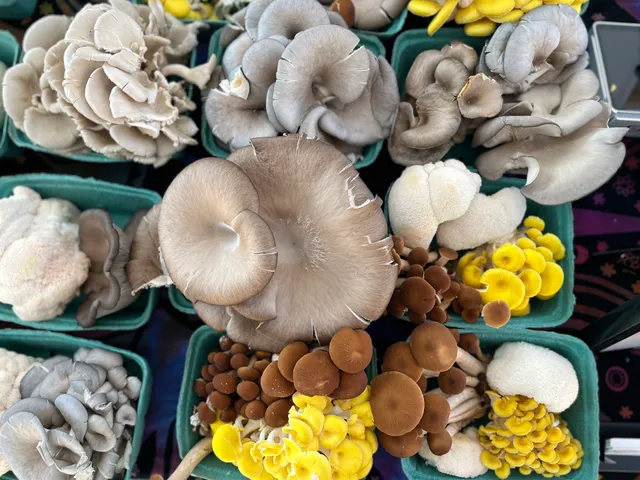 Harmony Mushroom Co.