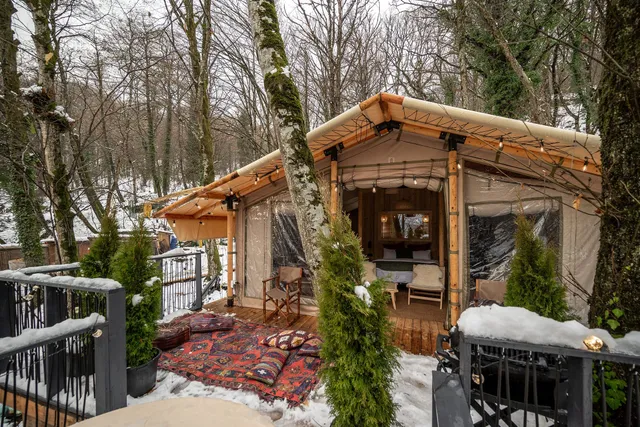 Dzen Polyana отель на дереве