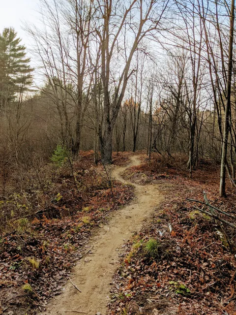 photo-1