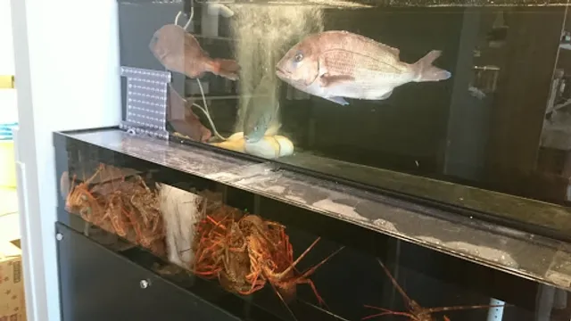 清水港 海山 富士山静岡空港